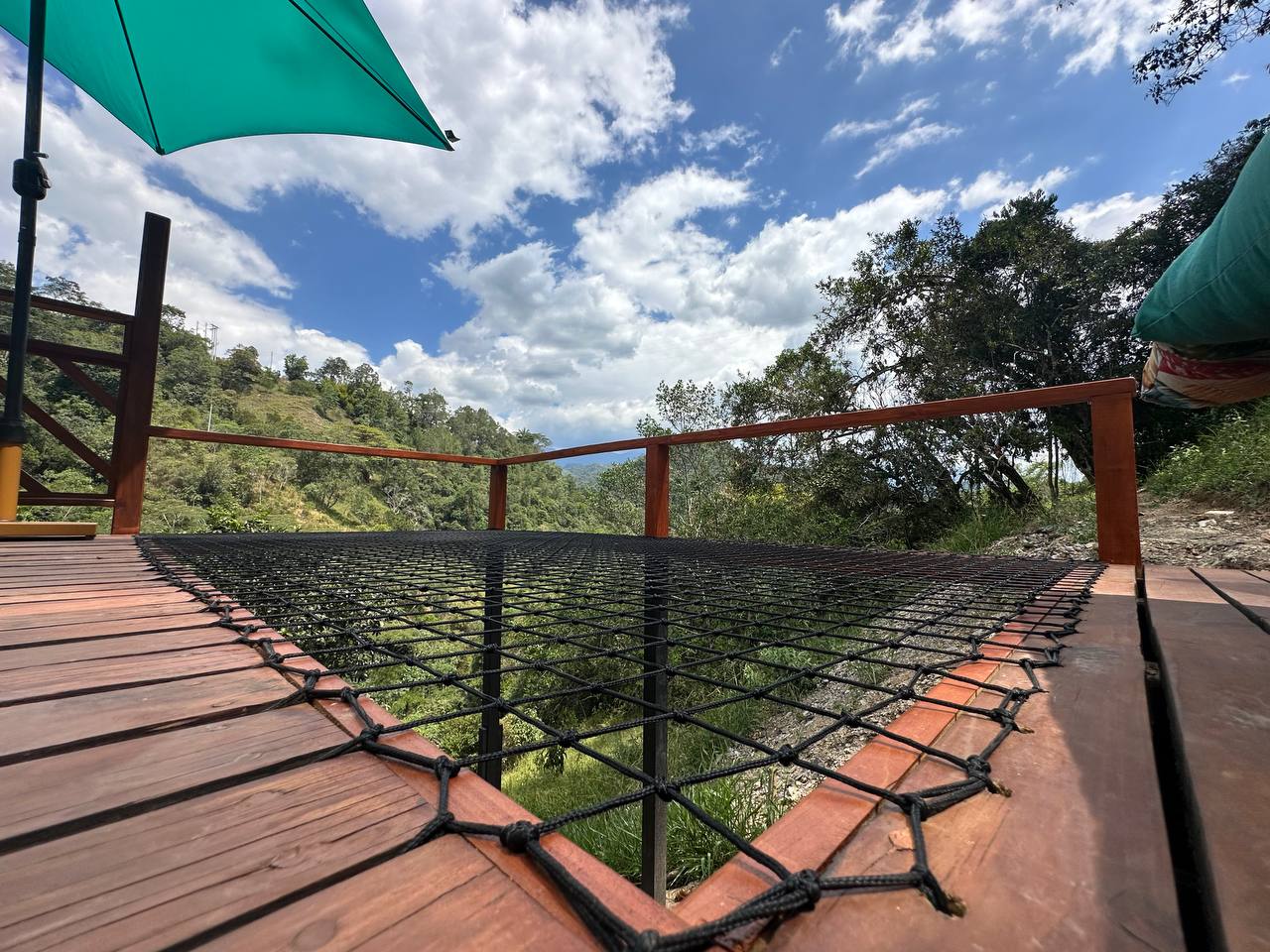 Red de descanso suspendida con vista al bosque